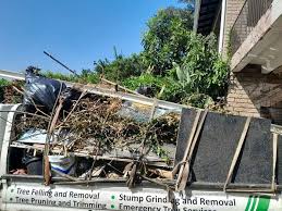 Best Furniture Removal  in Canton, GA