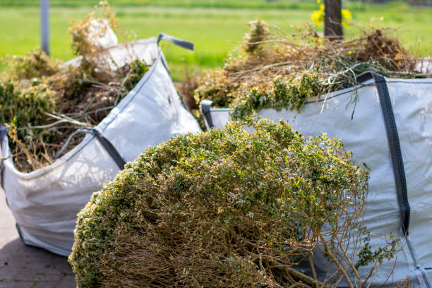 Best Furniture Removal  in Canton, GA